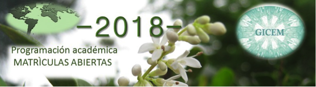 Iniciación en el Reiki Crístico. Vigo- España 2 Gicem 2018 Matrículas abiertas