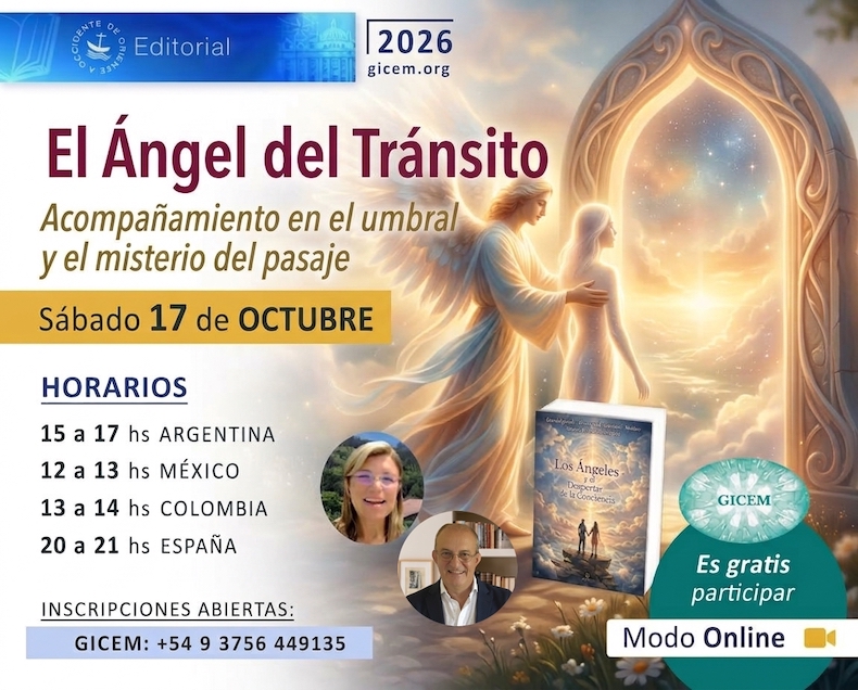 angel del transito taller gicem web